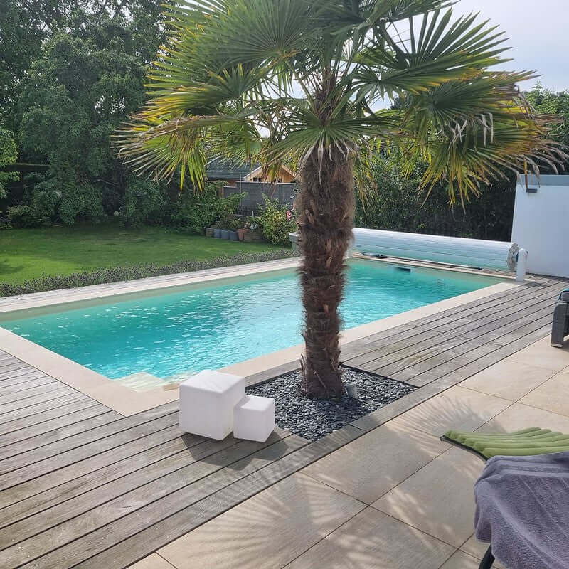 Pool reinigen und desinfizieren – So bleibt dein Pool dauerhaft sauber